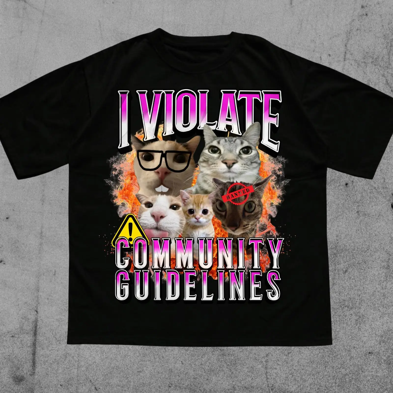 Vintage Fashion Community - I Violate Community Guidelines Cat Meme