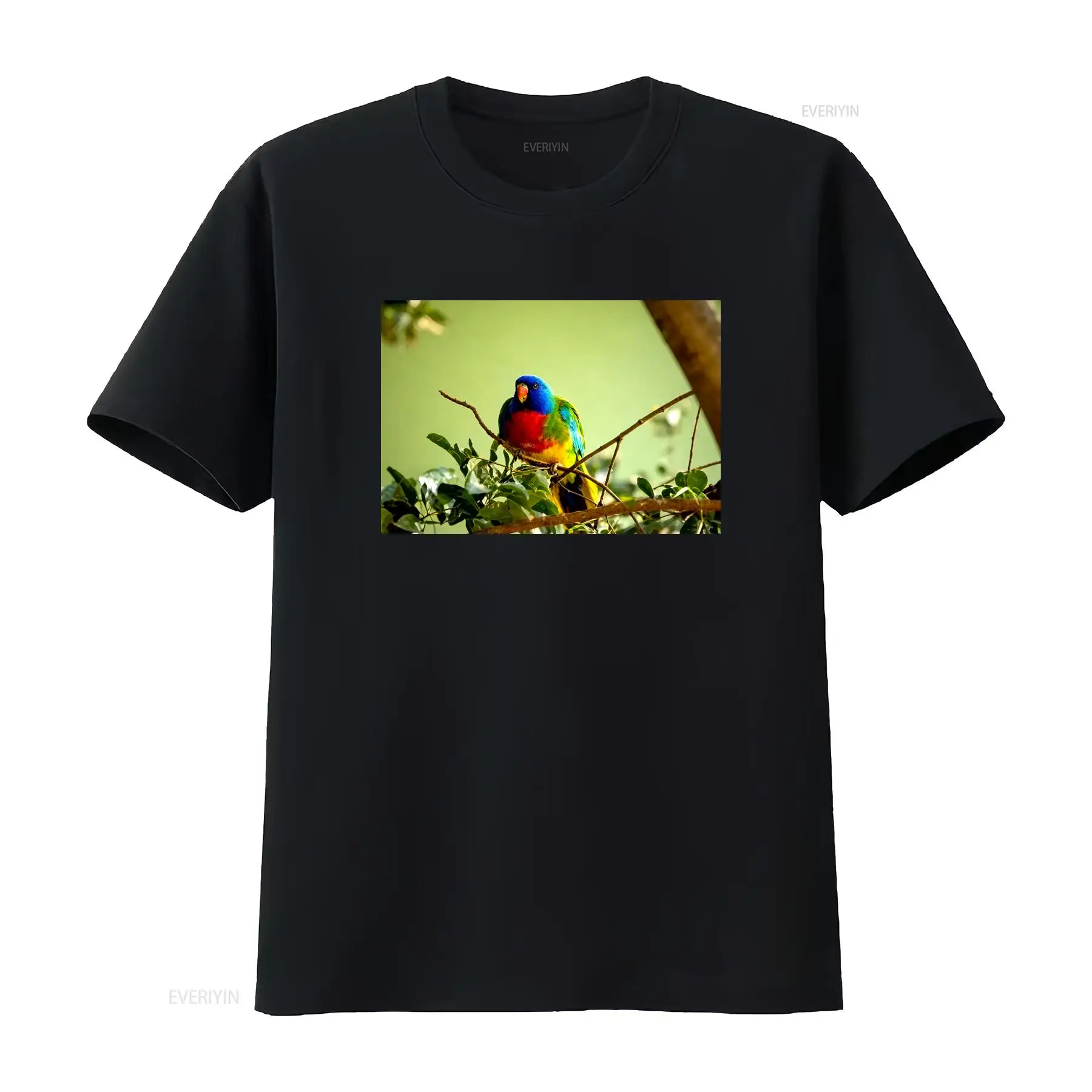 Scarlet Chested Parrot Made in – Vintage Fashion Australia Bewertung und Preis