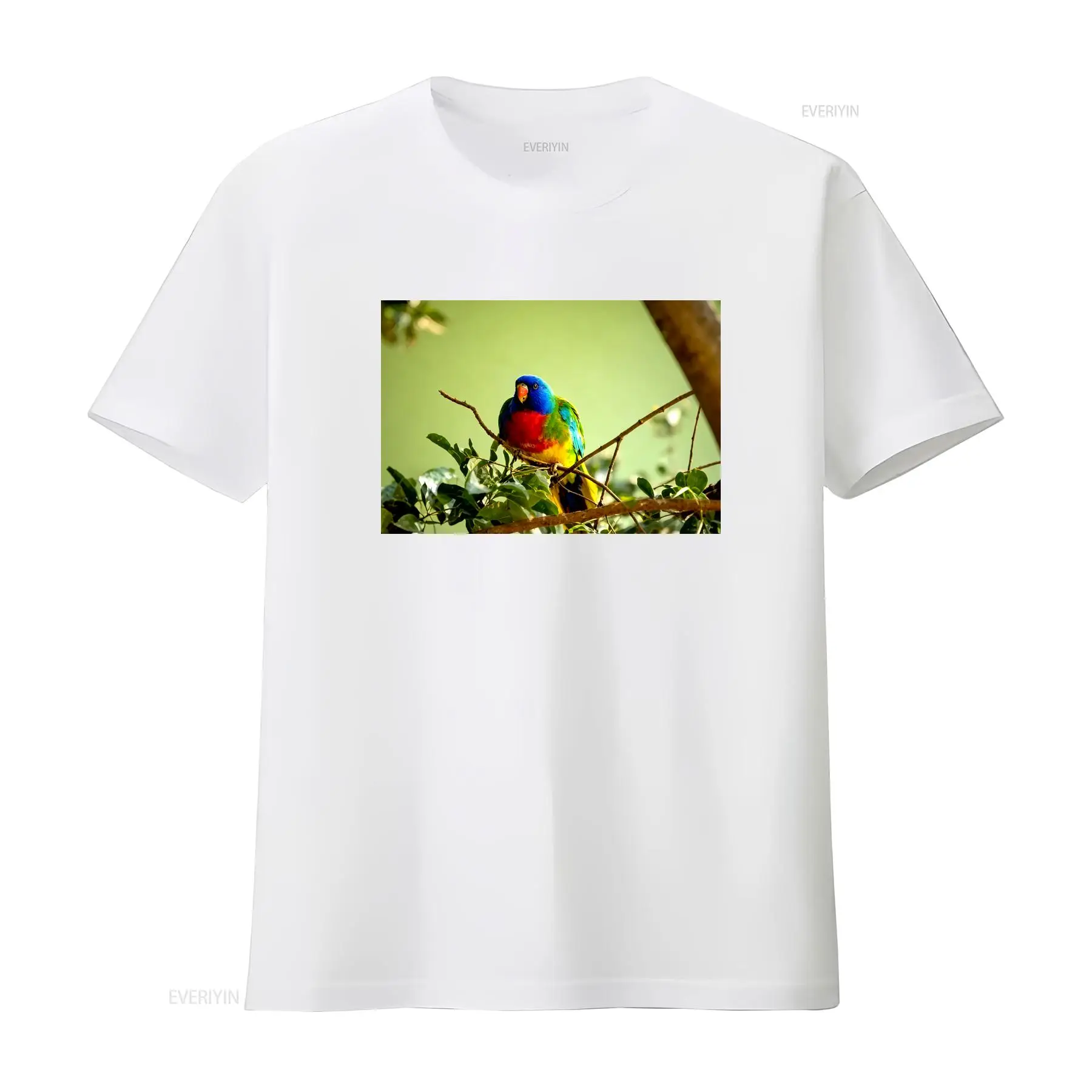 Scarlet Chested Parrot Made in – Vintage Fashion Australia Bewertung und Preis